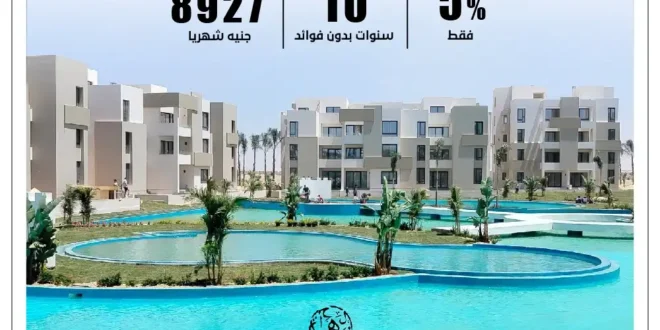 زهرة الساحل الشمالي من المرشدي جروب